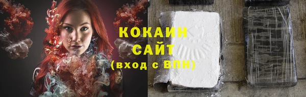 молекула духа Богданович