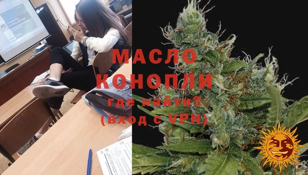молекула духа Богданович