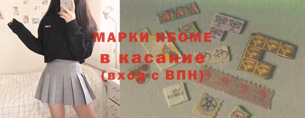 молекула духа Богданович