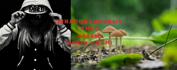 молекула духа Богданович