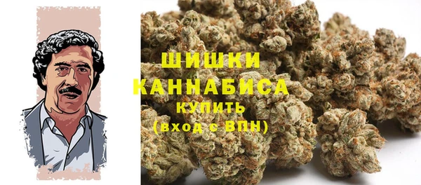 дживик Богородск