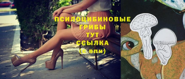 молекула духа Богданович