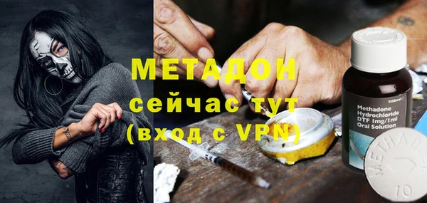 молекула духа Богданович