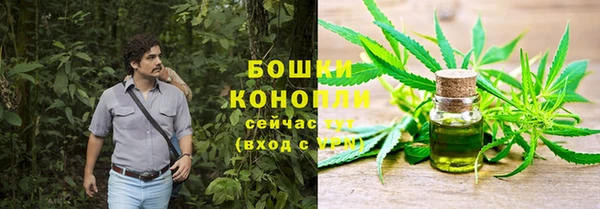 молекула духа Богданович