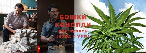 молекула духа Богданович