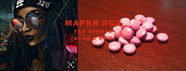 дживик Богородск