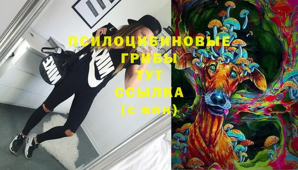 дживик Богородск