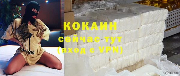 дживик Богородск