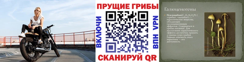 цена наркотик  Горнозаводск  Псилоцибиновые грибы прущие грибы 